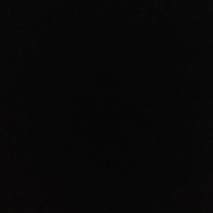 Meet your Posher, Ashanti